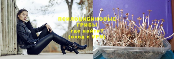 скорость Костерёво